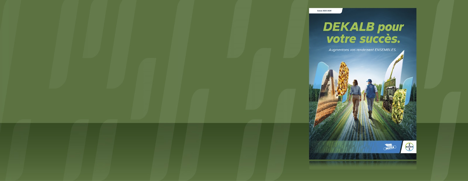 Guide des variétés de maïs 2026